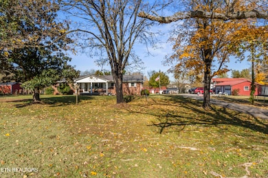 3856 Niles Ferry Rd, Greenback, TN 37742 - photo 5