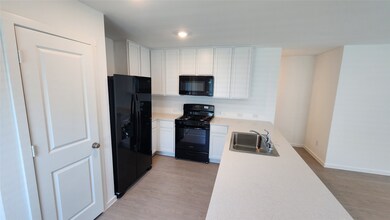 3013 Burmese St, Providence Village, TX 76227 - photo 4