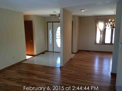 20129 Overland Trail, Olympia Fields, IL 60461 - photo 3