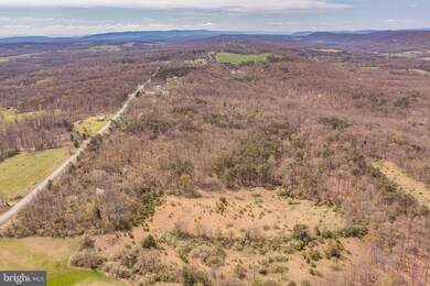 17.5 Acres N Timber Ridge Rd, Cross Junction, VA 22625 - photo 6