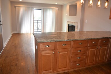 5652 W 63rd St unit 3W, Chicago, IL 60638 - photo 5