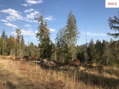 NKA Audrey Ln, Sagle, ID 83860 - photo 6
