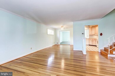 10213 Conover Dr, Silver Spring, MD 20902 - photo 2