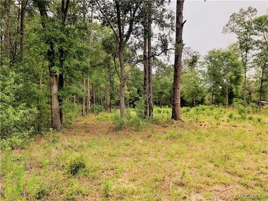 00 SW 189th Ave, Dunnellon, FL 34432 - photo 5