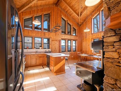 1580 Lotties Creek Rd, Burnsville, NC 28714 - photo 7