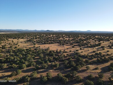 DJI_0364