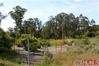 View of orchard with deer fencing
