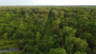 0 Lewis Ln unit 24219131, Starkville, MS 39759 - photo 3