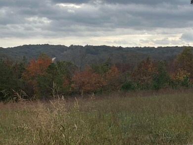 1300 Qmc Rd, Mountain View, AR 72560 - photo 7