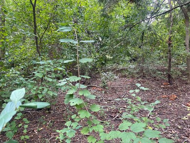 1351 N Sheridan Rd, Lake Forest, IL 60045 - photo 6