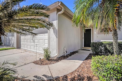 1837 Ravenridge St, Wesley Chapel, FL 33543 - photo 4