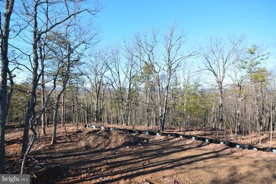 0 Lower View Rd unit 1000406655, Strasburg, VA 22657 - photo 5