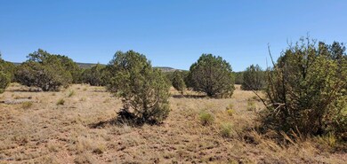 962 W Valley View Blvd, Ash Fork, AZ 86320 - photo 3