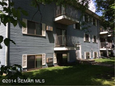 1609 Bridge Ave, Albert Lea, MN 56007 - photo 4