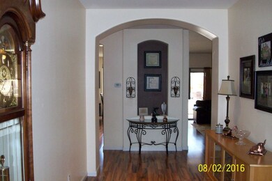 Entry - Copy