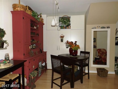 42512 Mayflower Terrace, Ashburn, VA 20148 - photo 4