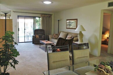 Living Room View