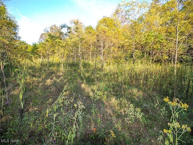 8 acres Whiskey Run Rd, Quaker City, OH 43773 - photo 2