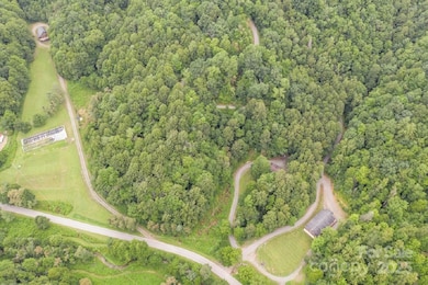 8020 Meadow Fork Rd, Hot Springs, NC 28743 - photo 4