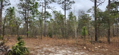 000 SW 92nd Place, Dunnellon, FL 34432 - photo 3