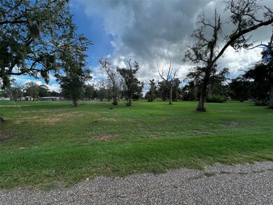 0 N County Road 707 unit 35804445, Brazoria, TX 77422 - photo 6
