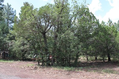 2612 Mescalero Dr, Show Low, AZ 85901 - photo 4