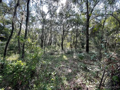 LOTS 13, 14 SW Shorewood Dr, Dunnellon, FL 34431 - photo 6