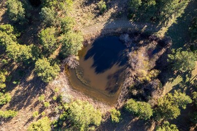 476 An County Road 414, Palestine, TX 75803 - photo 7