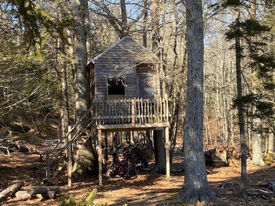 Tree house