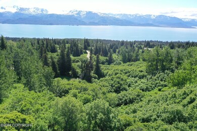 35887 Cloverdale Cir, Fritz Creek, AK 99603 - photo 4
