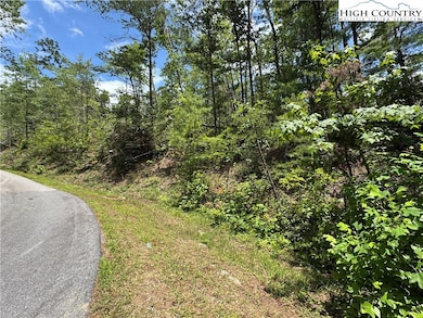 10 Sequoyah Cir, Marion, NC 28752 - photo 3