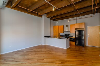 No. Ten Lofts unit 257, Chicago, IL 60607 - photo 3
