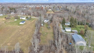 9005 Tonawanda Creek Rd, Clarence Center, NY 14032 - photo 4