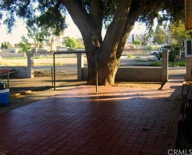 Courtyard with Oak Tree.