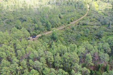 0 Bat Rd unit 16494875, Perry, FL 32347 - photo 4