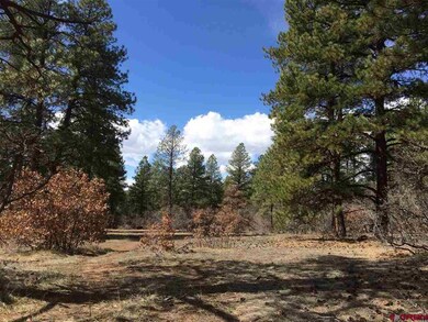 0 Engine Creek Ct unit 731546, Durango, CO 81301 - photo 4