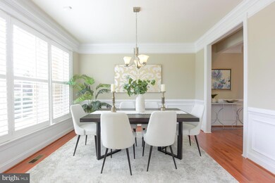 4706 Barnum Ln, Alexandria, VA 22312 - photo 6