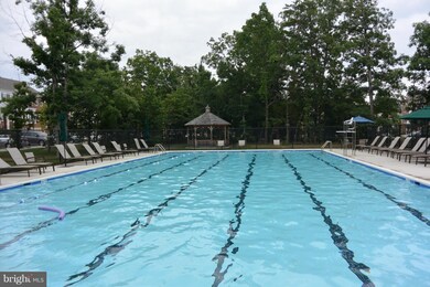 43602 White Cap Terrace, Chantilly, VA 20152 - photo 6