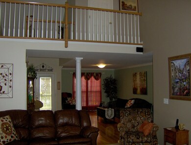 9310 Artis Cat Walk 2