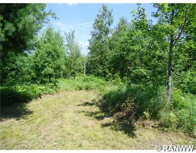 0 Dake Rd unit 892816, La Follette Township, WI 54893 - photo 4