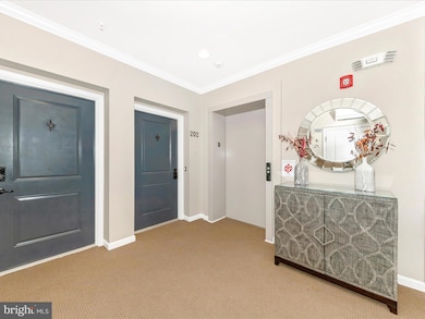 6501 Walcott Ln unit 202, Frederick, MD 21703 - photo 3
