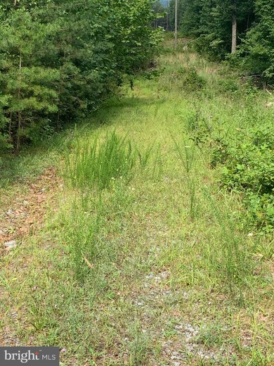 LOT 81 Cressida Dr, Valley, WV 25427 - photo 6