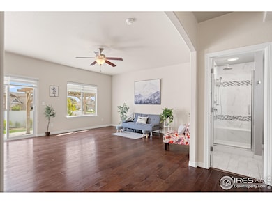 848 Shirttail Peak Dr, Windsor, CO 80550 - photo 7