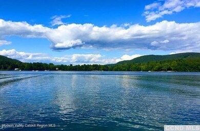 105 McNamee Rd, Canaan, NY 12029 - photo 4