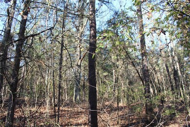 001-04740-000 Marion County 5045, Yellville, AR 72687 - photo 6