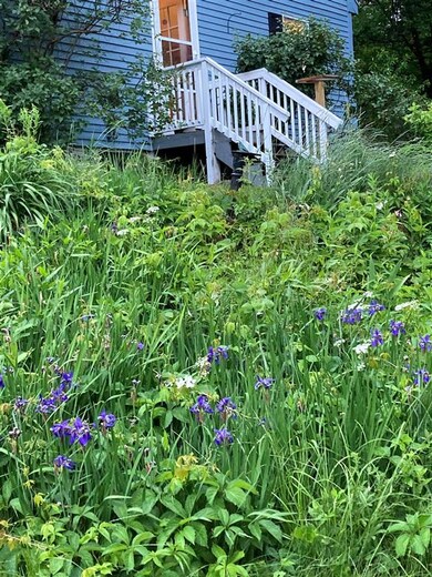 321 John Smith Hill Rd, Bristol, NH 03222 - photo 7