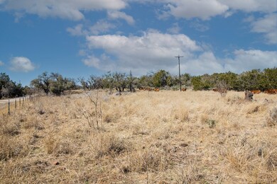 5 E Lower Crabapple Rd unit 5, Fredericksburg, TX 78624 - photo 5