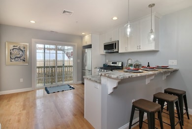 46 Alpine St unit 1, Boston, MA 02119 - photo 7