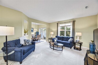 8581 Dunham Dr, Olmsted Falls, OH 44138 - photo 6