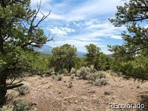 4584 Laidlaw, Fort Garland, CO 81133 - photo 4